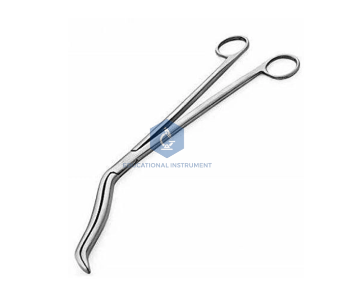 Cheatle Forcep