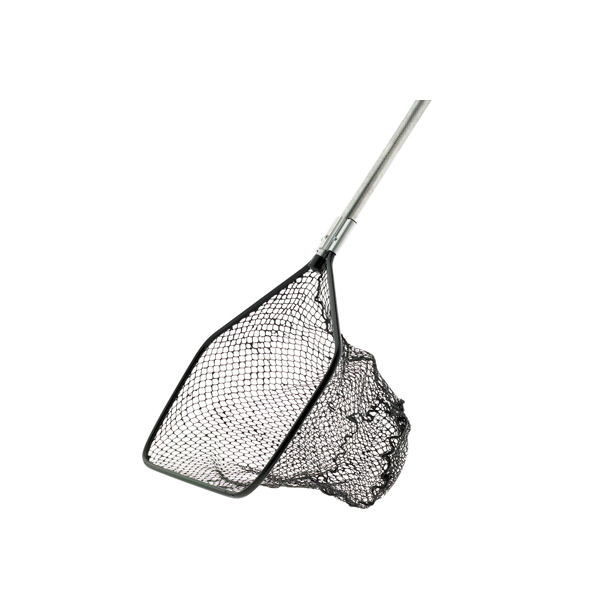 Net, Basic Fish Dip