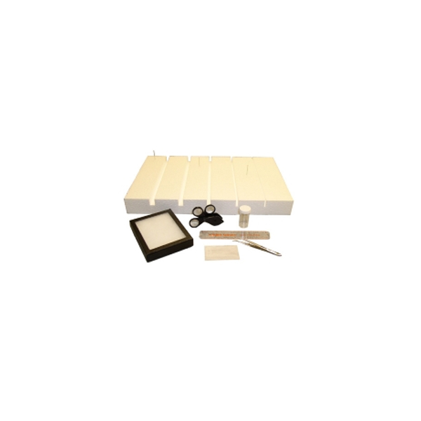 Insect Lab Kit