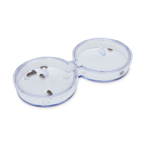 Chamber with Lid
