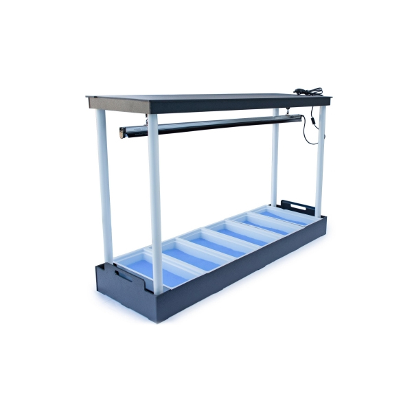 Hydroponic Tray