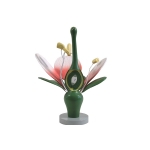 Plant Dicot Flower
