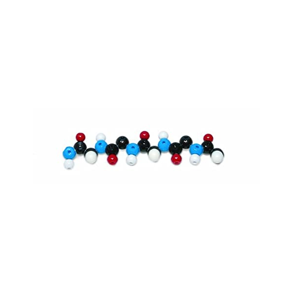 Polypeptide Molecular Model Kit