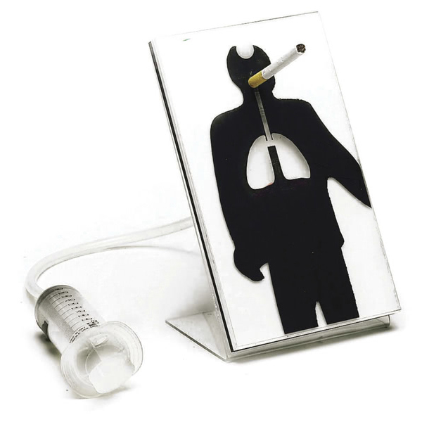 Effects of Smoking Model