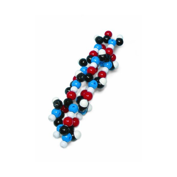 Alpha Helix Molecular Model Kit