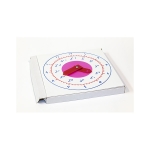 Clock, Teaching, Wood