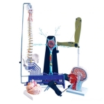 Health and Harmony Superior Kit