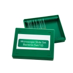 Bacteria slide Set of 12